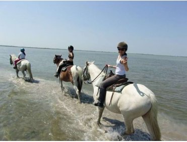 Camargue Passion