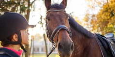 Montagne et équitation