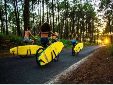 SURF CAMP