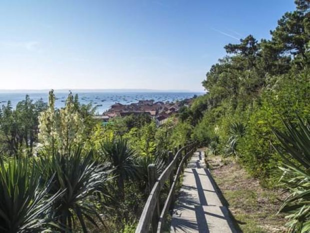 Vue sur la Baie d'Arcachon en été