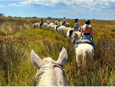Camargue équitation passion