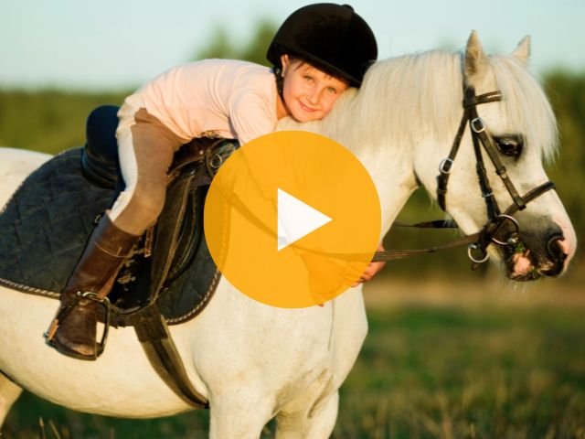 Video Mont Joyeux
