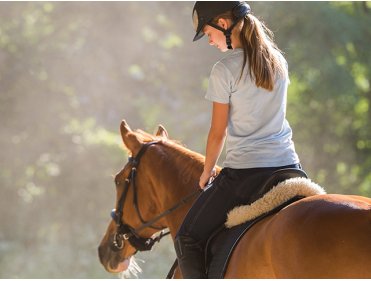 Equitation Camargue