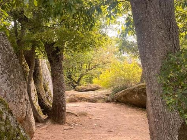 randonnée en bulgarie dans les bois en colonie de vacances