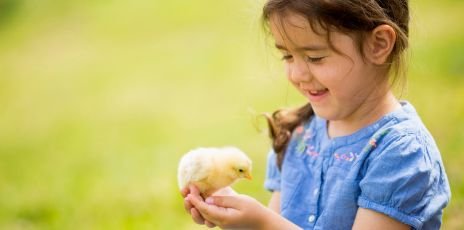 Séjour à la ferme de l'Aoueille
