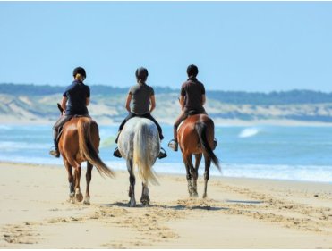 Equitation dans le Pays Basque