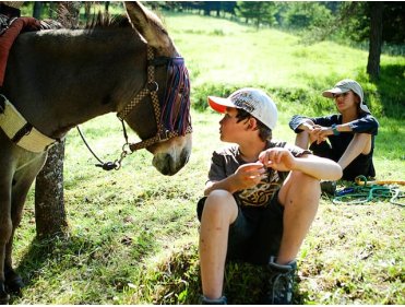 Chemin faisant, aux côtés des ânes