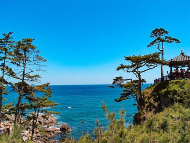 Paysage estival en colo de vacances à Séoul où les jeunes ont été en auberges...