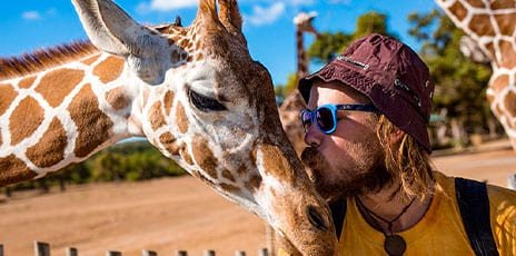 Safari en terre Zoulou