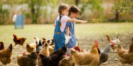 Au rythme des animaux