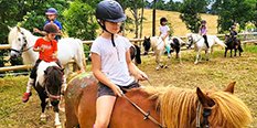Au rythme des animaux