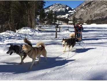 Les aventuriers d'abondance