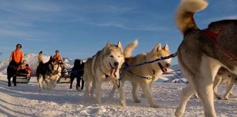 Neige et Aventure Traîneaux