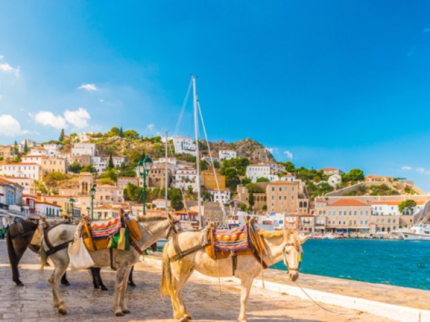 moyen de locomotion chevaux a hudra dans la mer egee en grece 