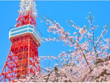 Japon : à la découverte de Tokyo