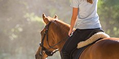 Passion cheval