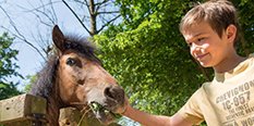 Passion Poney