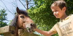 Poney, détente et Nature