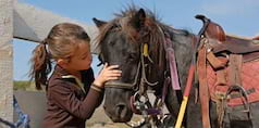 Poney, détente et nature