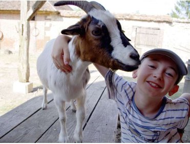 Mes vacances à la ferme