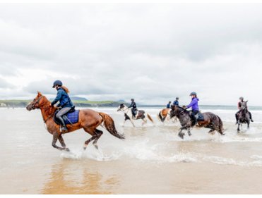 Adventure Camp en Irlande