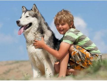 Activ'Fun Retournac