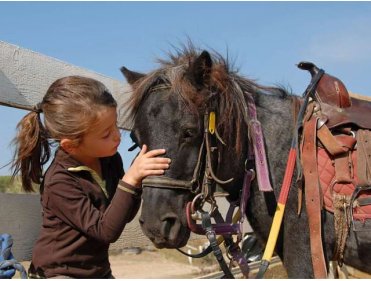 Poney, détente et nature