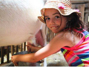Mes vacances à la ferme