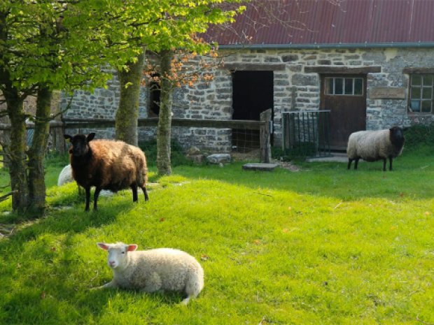 Colonie de vacances en ferme pédagogique toussaint