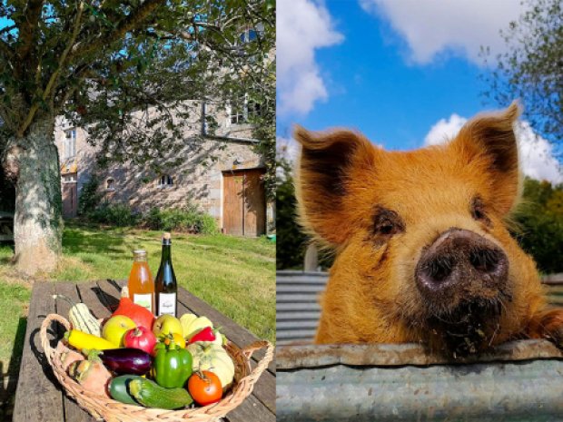 Produits de la ferme et animaux de la ferme