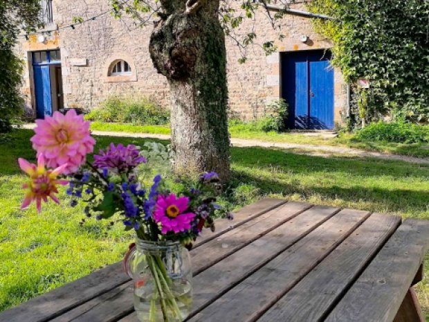 Immersion a la ferme en colonie de vacances