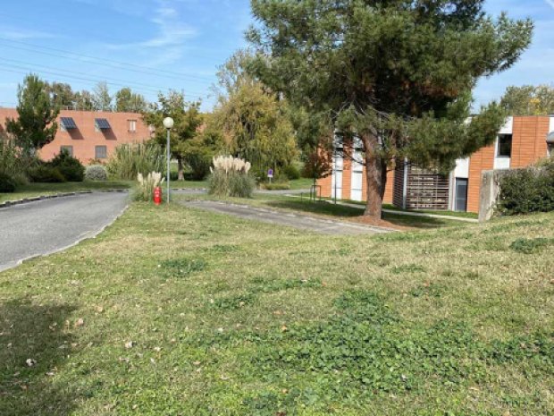 Espaces verts du lycée Agricole-cité des sciences vertes, hébergement de colo de vacances à proximité de Toulouse
