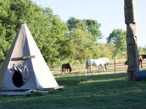 Tipis avec les chevaux à la colo équitation été