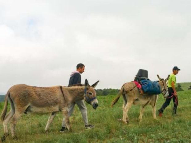 Bivouac dans le Trièves cet été dans le Vercors