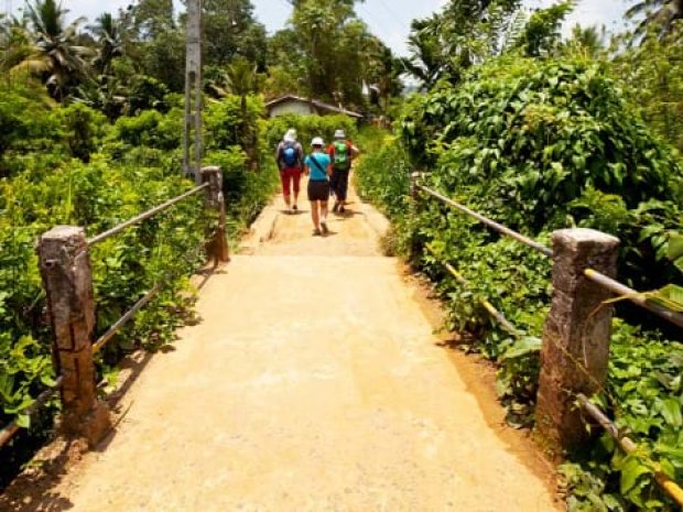 Hôtels ou auberges de jeunesse au Sri Lanka cet été 