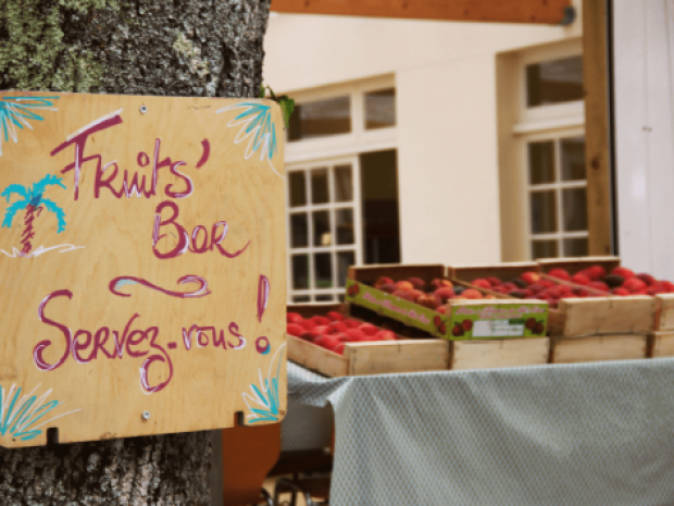 Stands de fruits frais au centre de vacances Campus Vieux Boucau 