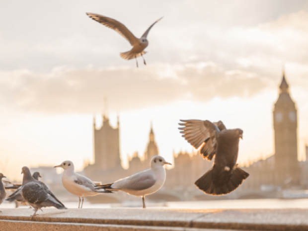 Vue sur Londres où les jeunes partent en colo de vacances cet été