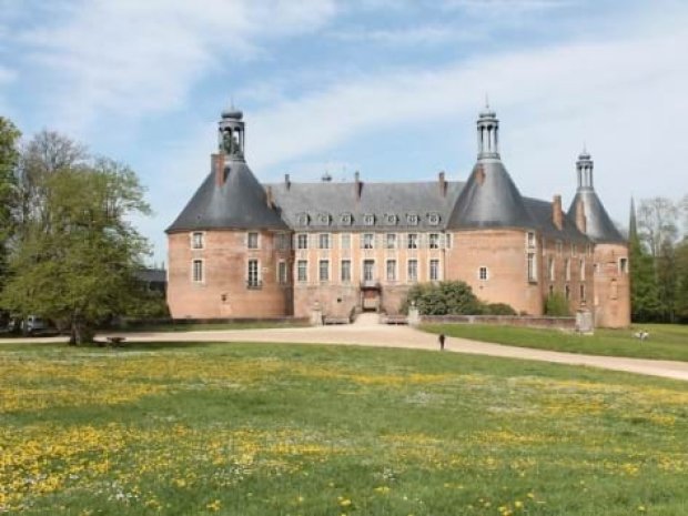 Vue sur le château de Saint Fargeau