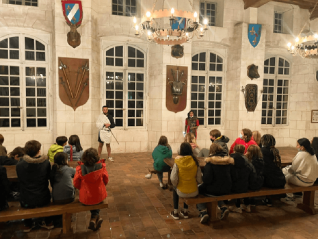 Vue sur les jeunes en pleine activité au château de St Fargeau