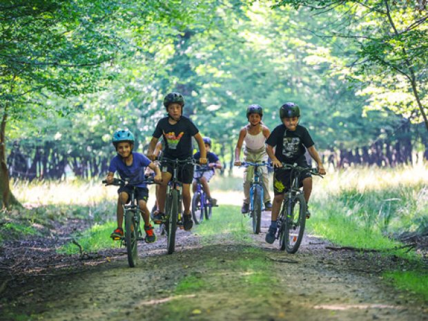Balade à vélo dans les landes en colo