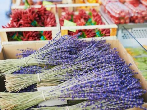 Bouquet de lavande sur un marché d'Ardèche