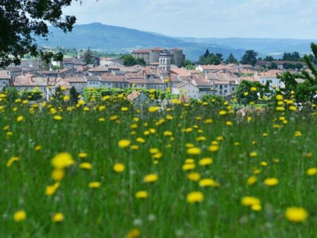 Paysage fleuri devant le centre de vacances