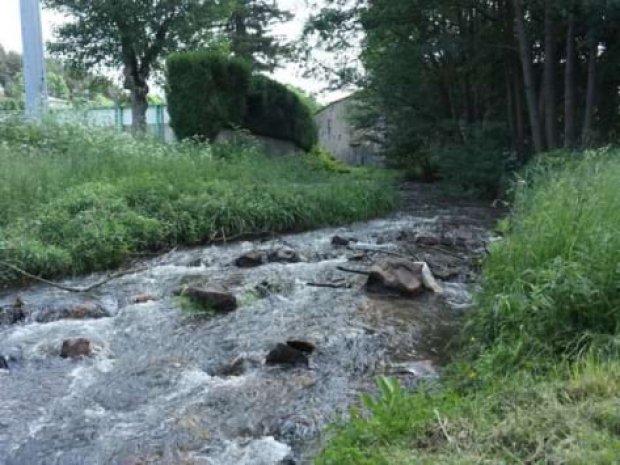 Ruisseaux près du centre de colonie de vacances en Auvergne