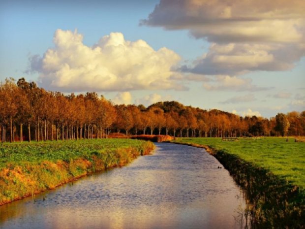 Un canal des Pays-Bas