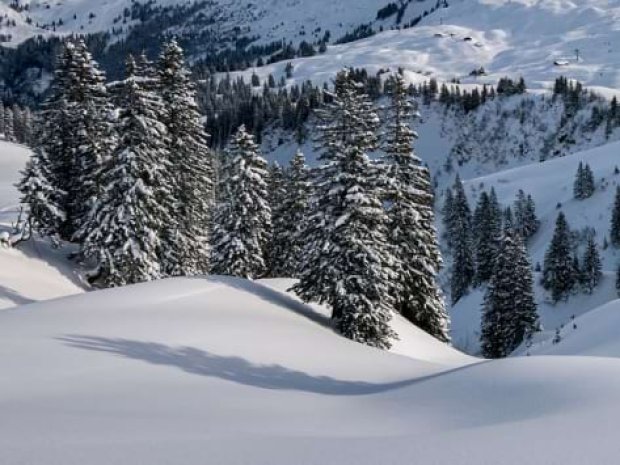 Paysage hivernal montagne vassieux