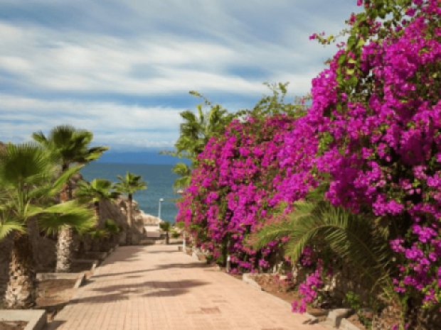 Rues de Tenerife typiques cet hiver en colo de vacances