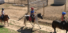 100% Poneys dans les monts du Lyonnais