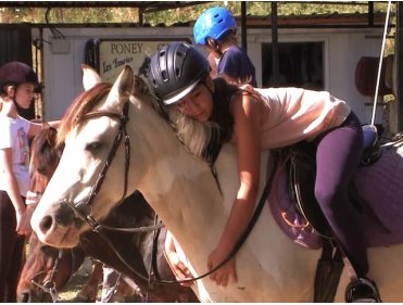 100% Poneys dans les monts du Lyonnais