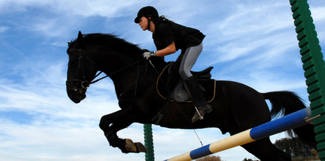 Passion Équitation