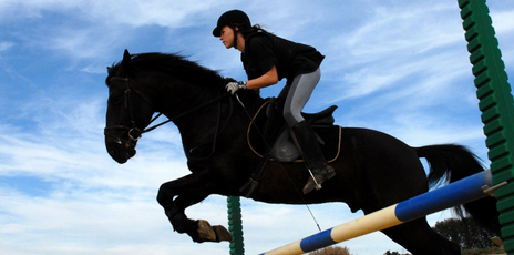 Passion Equitation